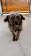 Lupe Image 6